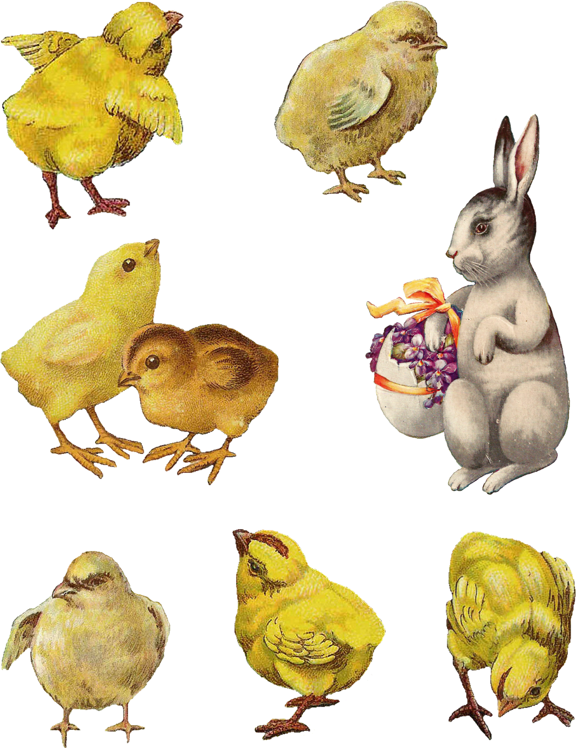Easter Chicks Bunny Collage Sheet Download - Cardmaking (1237x1600), Png Download