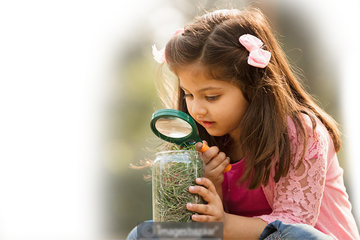 Ramaiah Institute Of Technology (726x484), Png Download