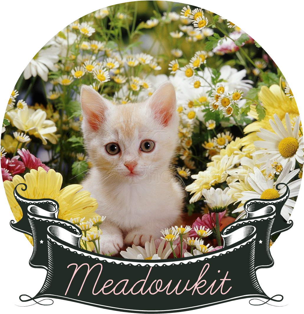 08184 Kitten Among Flowers - Beautiful Flowers Images Hd (1103x1104), Png Download