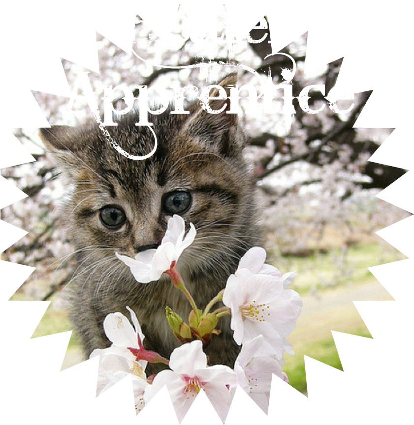 Paretty Little Kitten Kitty Cat In Pink Tree Blossoms (840x1116), Png Download