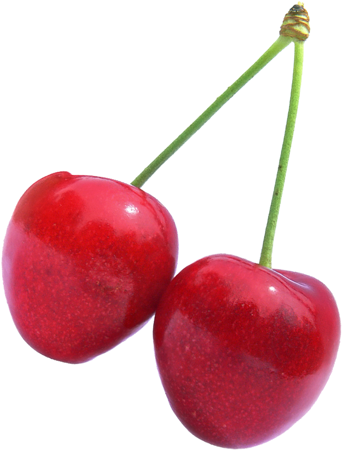 Cherry Fruit - Transparent Cherry (1200x1200), Png Download