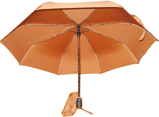 Shangyu Chensheng Umbrella - Umbrella (555x416), Png Download