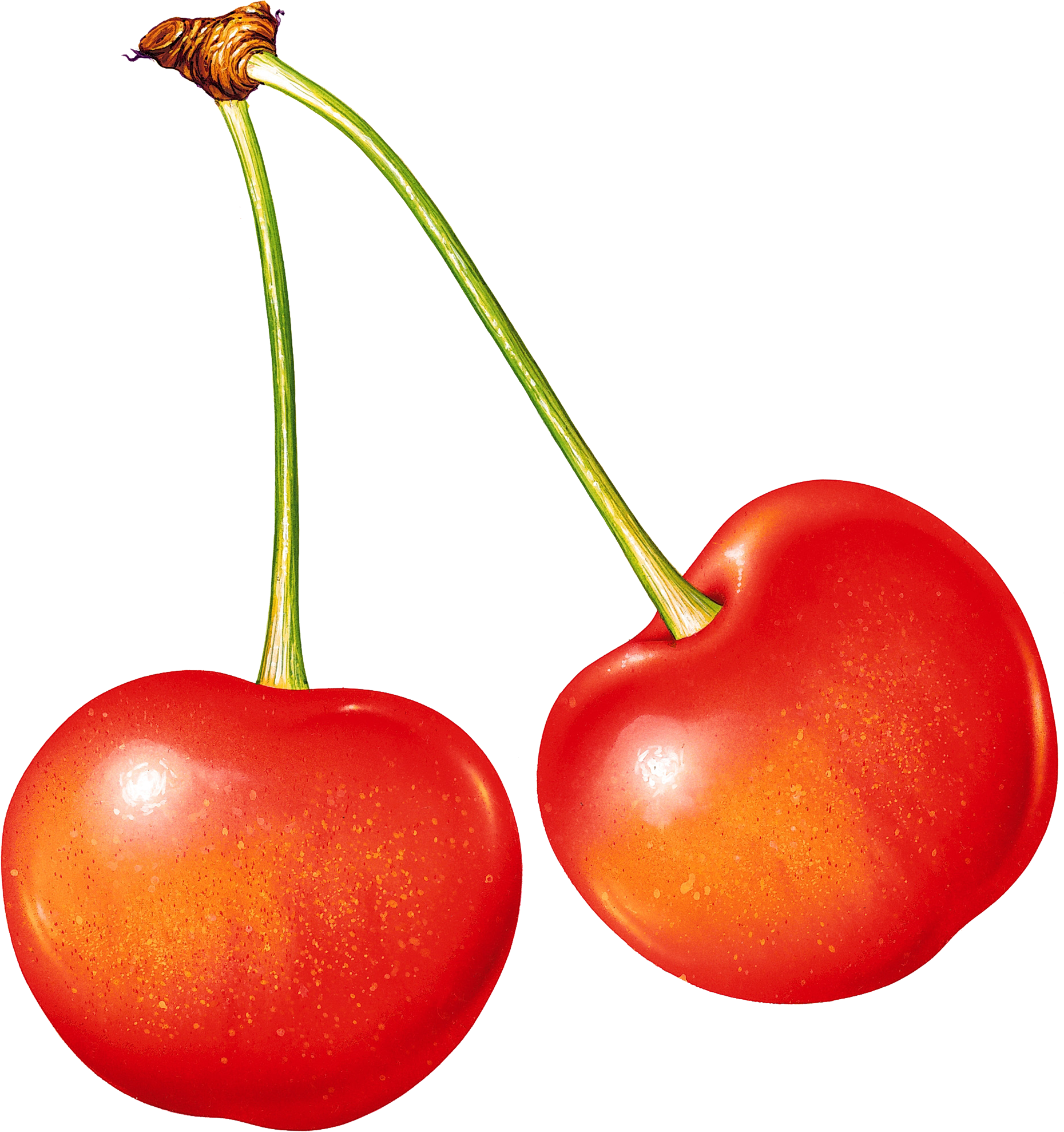 Cherry Png Image Without Background - Fruits Name (1860x1978), Png Download