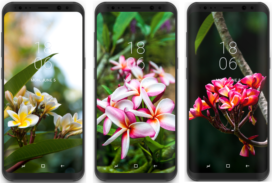 Samsung Galaxy Tropical Wallpaper Collection - Wallpaper (1000x1000), Png Download