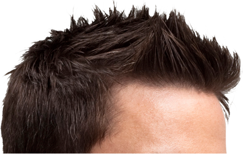 Tuesday, October 30, 2012 - Men Hair Only Png (500x316), Png Download