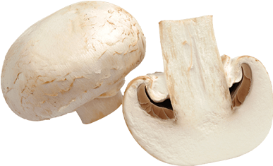 Champignon Png (392x452), Png Download