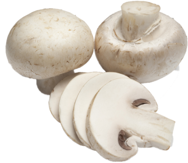 Button Mushroom - Freshly Cut Mushroom (405x330), Png Download