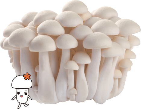 雪白 菇 (468x364), Png Download