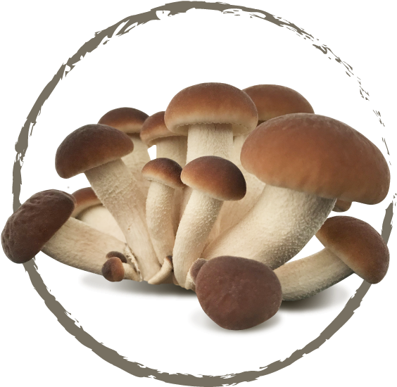 Our Traditional Mushrooms - Woodies - Invitation Save The Date Stamp (set (600x600), Png Download