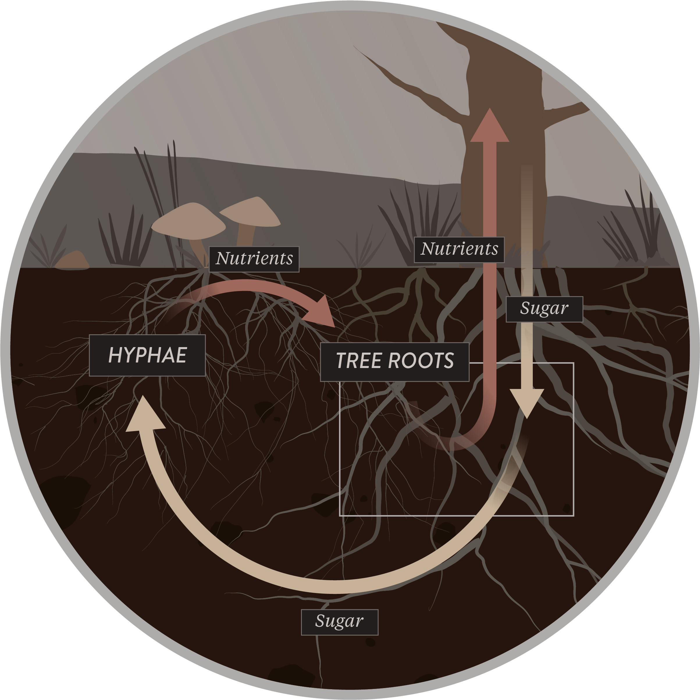 Friends With Benefits - Circle (2615x2615), Png Download