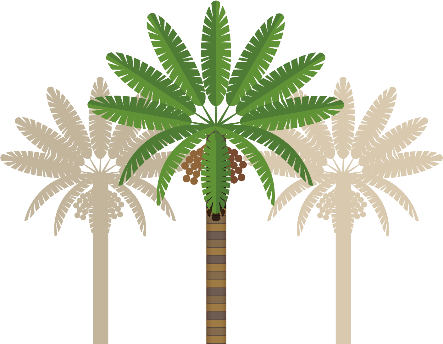 Leaves Clipart Coconut Tree - Abu Dhabi Clip Art (1451x1273), Png Download