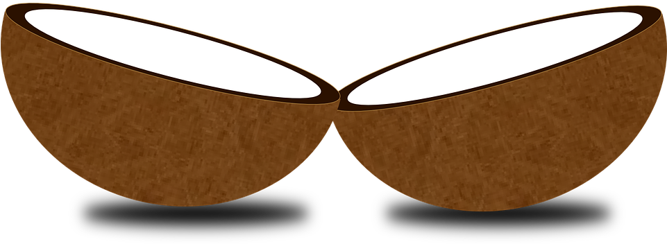 Clip Art Coconut Tree - Halves Clipart (960x480), Png Download