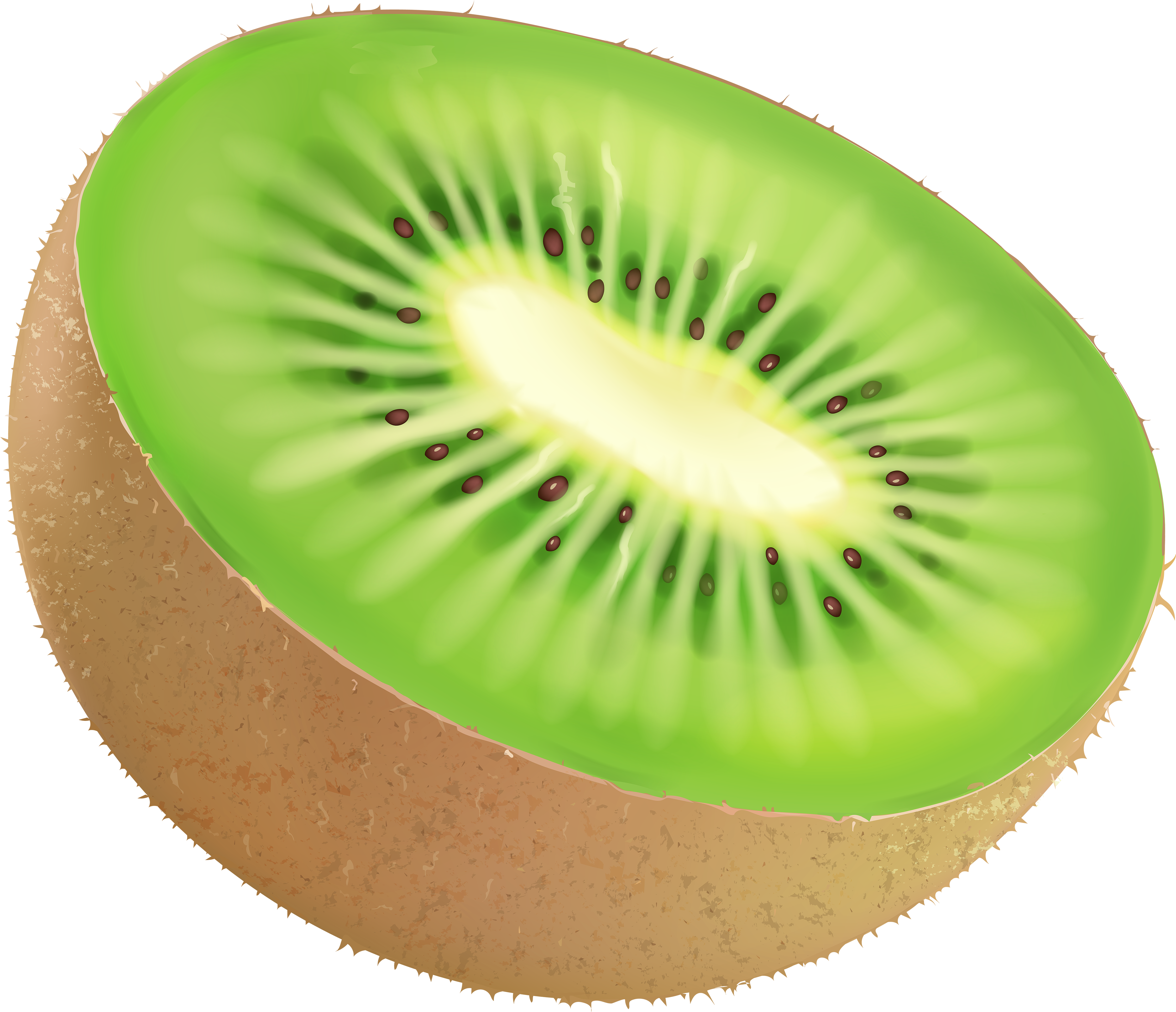 Kiwi Fruit Png (5000x4303), Png Download