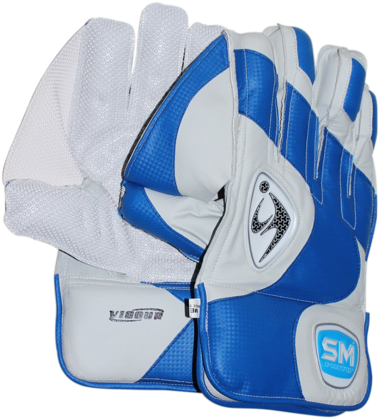 Cricket Wicket Keeping Gloves - Wicket Keeping Gloves Png (500x500), Png Download