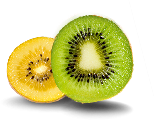 Green And Gold Kiwi (539x422), Png Download