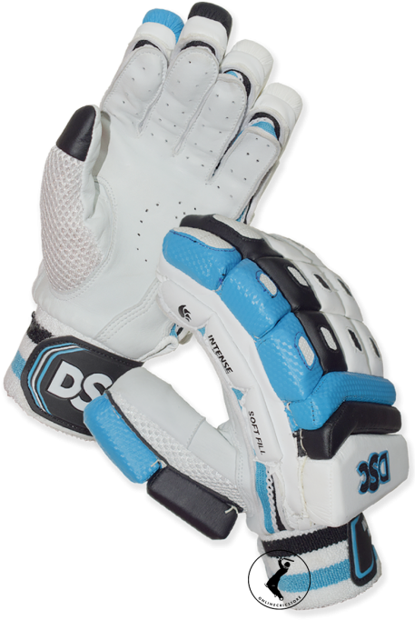 Dsc Intense Passion Cricket Batting Gloves - Batting Glove (467x700), Png Download