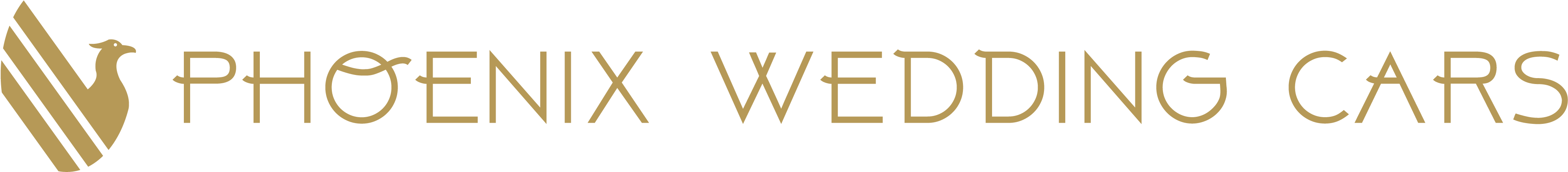 Phoenix Wedding Cars - Mardan Palace Logo (4167x1250), Png Download