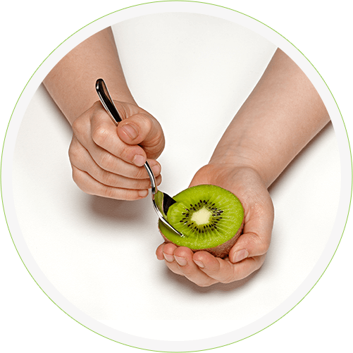 Scoop - Hardy Kiwi (501x501), Png Download