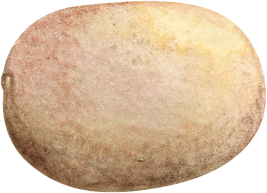 Hand Painted A Kiwi Fruit Transparent Fruit Png - Fruit (1024x745), Png Download