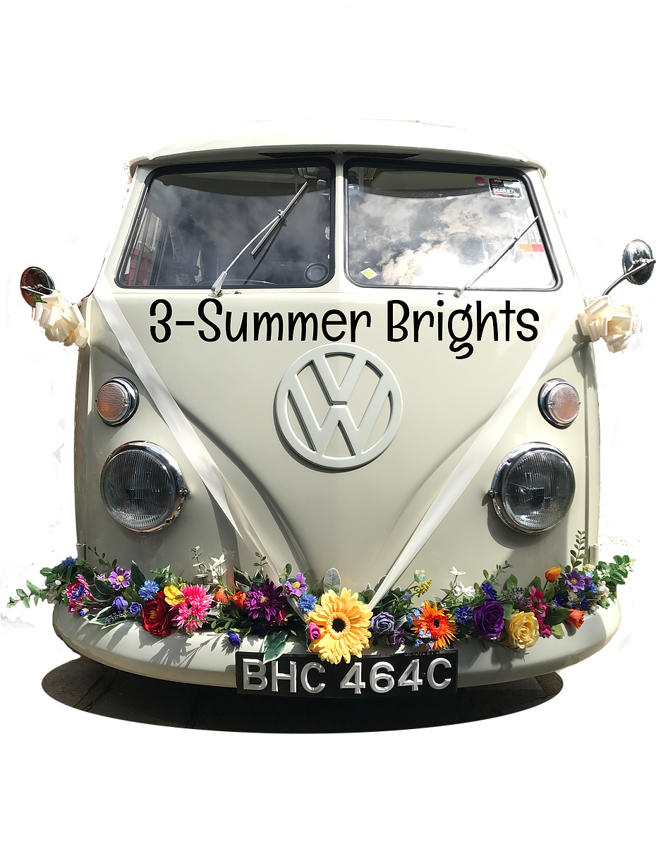 Need A Vintage Wedding Car Turn Heads On Your Wedding - Samba (950x1268), Png Download