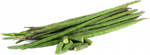 Drumstick Tree (500x500), Png Download