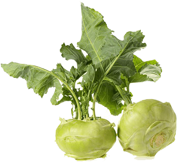 Nokol Vegetable In English (500x500), Png Download