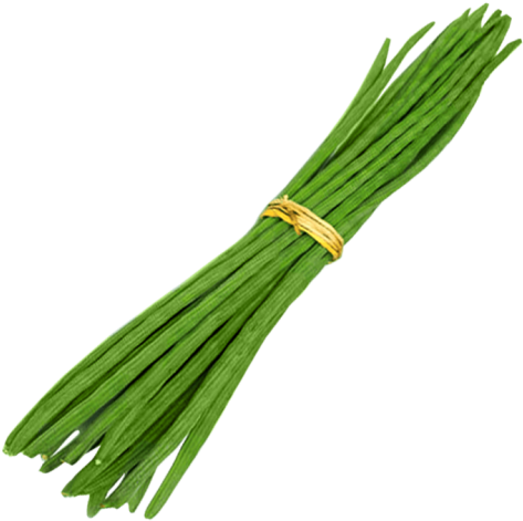 Welsh Onion (500x500), Png Download