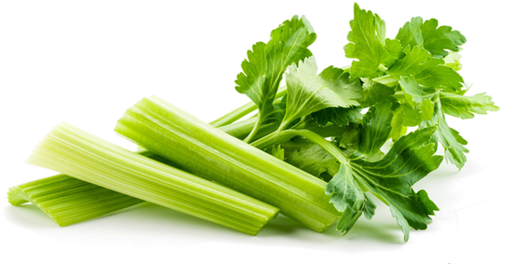 Drumstick - Celery Transparent Background (600x450), Png Download