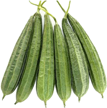 500g - Turai Vegetable (500x500), Png Download