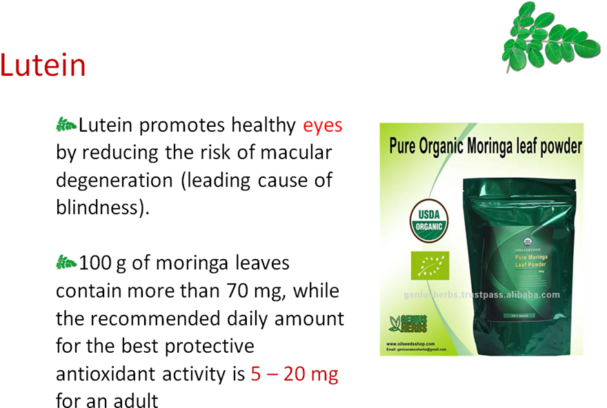 100 Seeds Organic Dry Moringa Oleifera Seed Thai Herb (880x592), Png Download