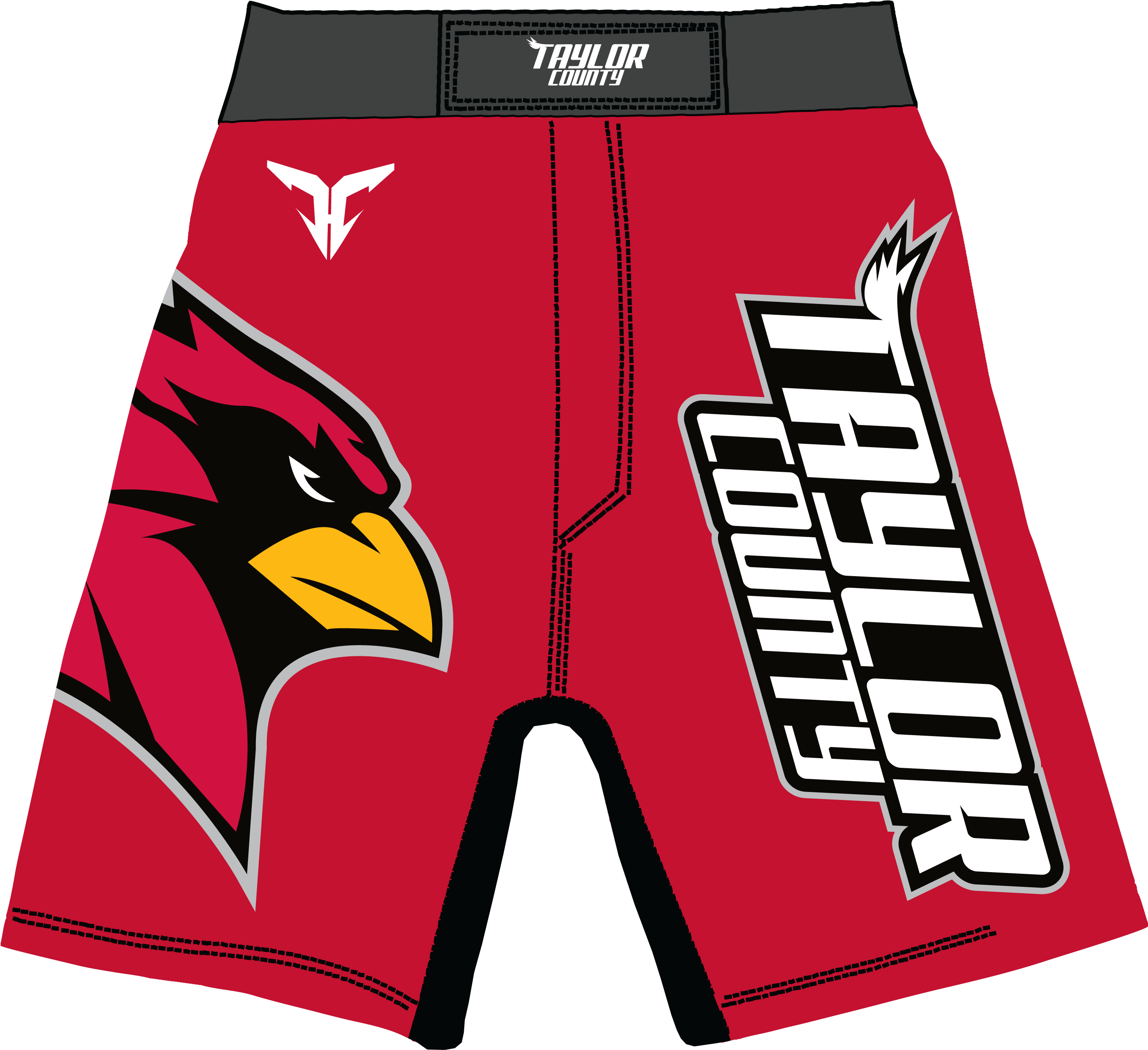 Tc-fight Shorts - Cool Wrestling Trunks Png (3080x2514), Png Download