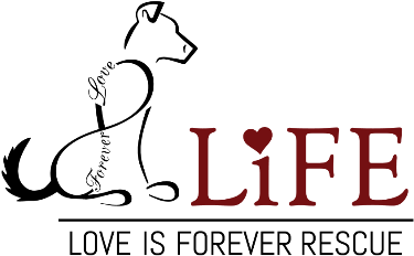 L - I - F - E - Animal Rescue And Sanctuary - Forever - Life After The Wife (444x444), Png Download