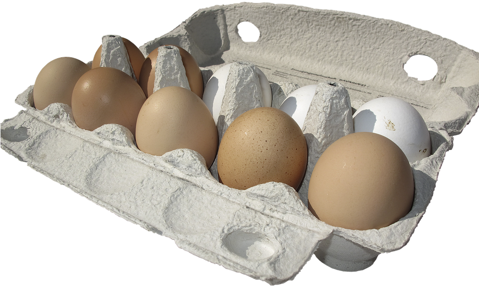 Egg,hen's Egg,egg Carton,lots Of Eggs,egg Packaging,brown - Carton Of Eggs Transparent Background (500x303), Png Download
