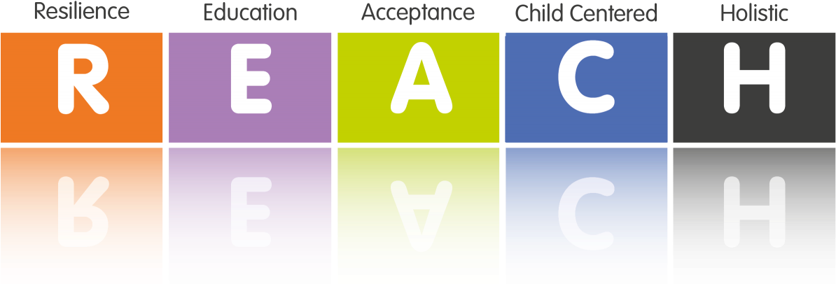 Through The Reach Approach We Will Aim To Equip Foster - Registration, Evaluation, Authorisation And Restriction (1202x452), Png Download