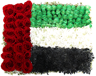Happy Uae Day - United Arab Emirates (400x570), Png Download