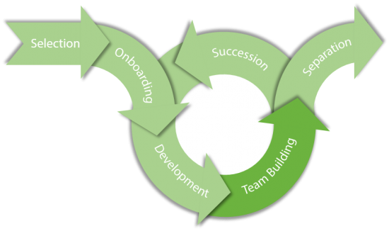 The Employee Lifecycle - Employee Lifecycle (550x326), Png Download