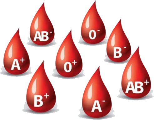 Importance Of Blood Donation - Logo Donor Darah Png (501x390), Png Download