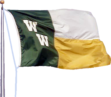 Flag Transparent Png Format - Flag (385x335), Png Download