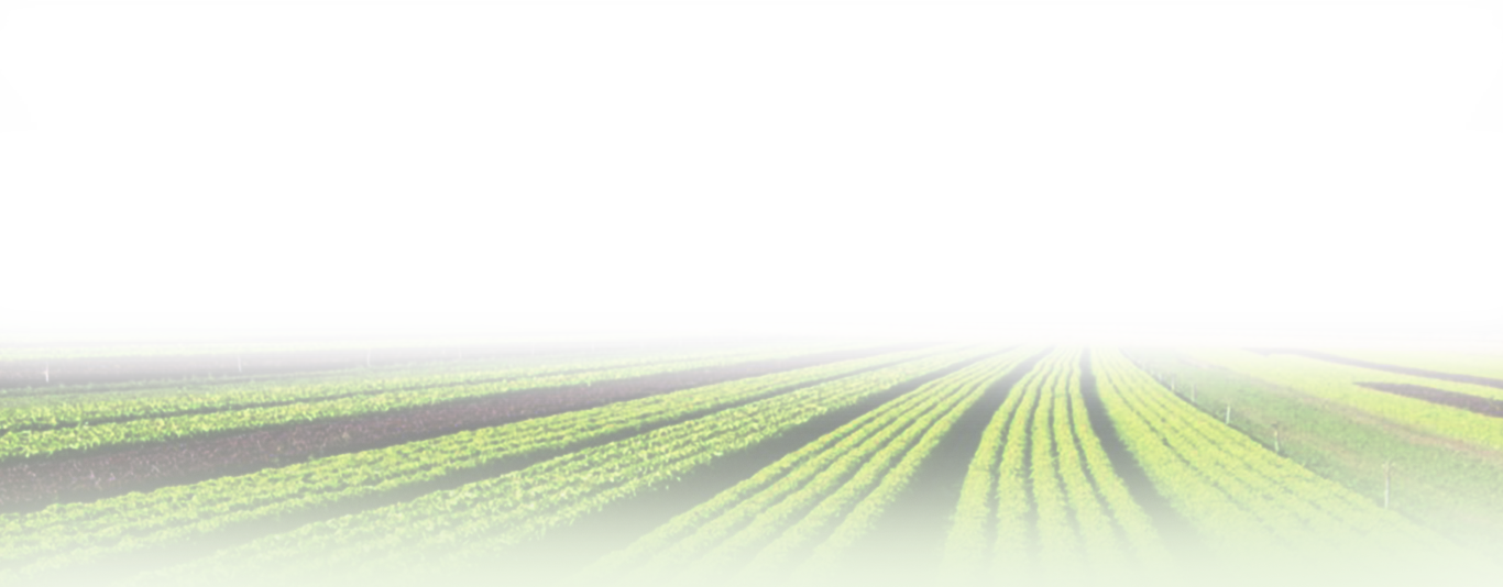 Background - Grass (1366x534), Png Download