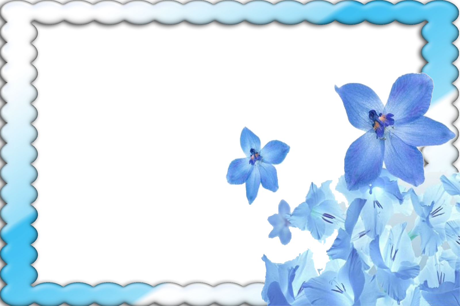 Png Photo Frame Download - Screen Backgrounds Blue Flowers (1600x1066), Png Download