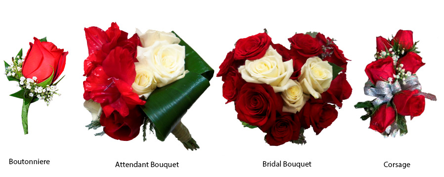 More Views - Floribunda (898x358), Png Download