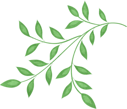 Visit - Branch And Leaves Clipart (500x427), Png Download