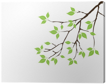 Vector Tree Branch With Green Leaves Canvas Print • - Click Wall Art 'blue Spring Cardinal' Framed Graphic (400x400), Png Download