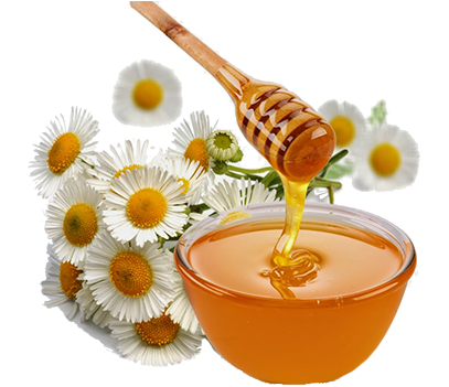 Med 55 - Eat Honey (490x350), Png Download