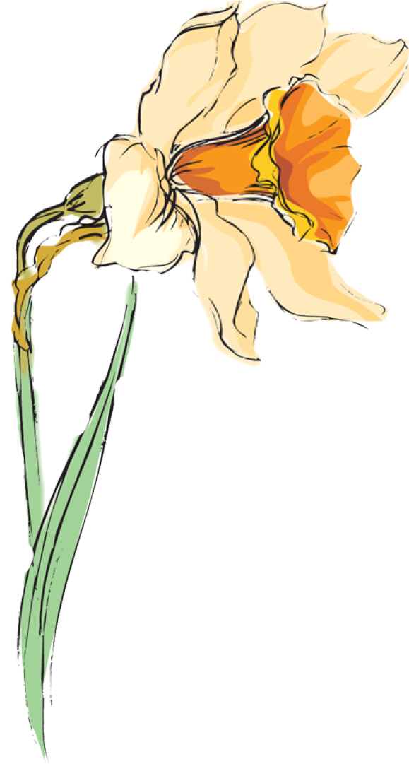 Beautiful Clip Art Of Flowers - Clip Art (639x1080), Png Download