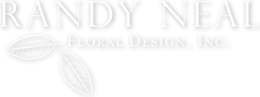 Black Floral Design Png (900x338), Png Download