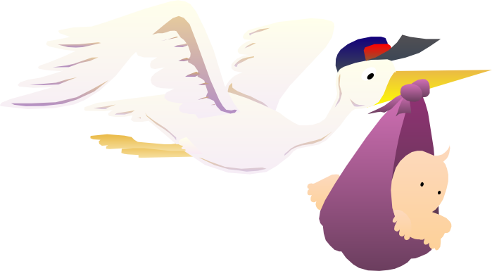 Stork Delivering Baby - Stork Carrying Baby Yard Sign (699x385), Png Download