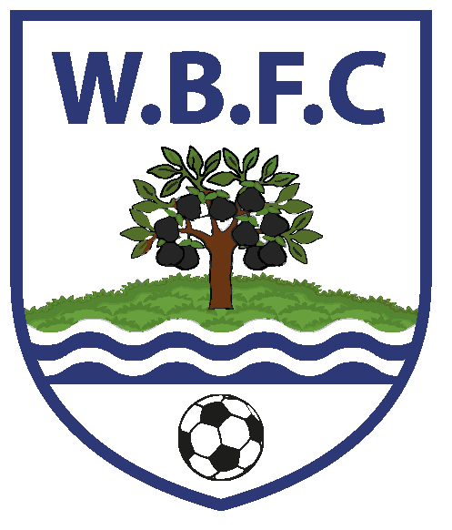 Worcester Bfc - Worcestershire - English County Flag 25mm Pin Button (666x666), Png Download