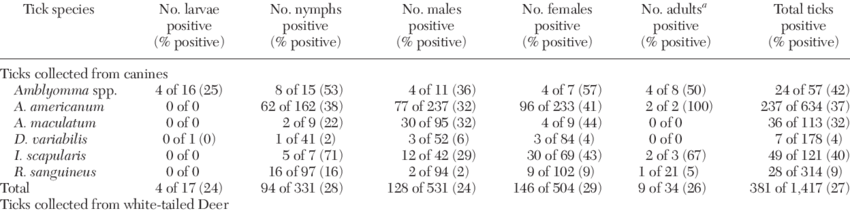 Almost 30% Of The Ticks And Representatives Of Each - Number (850x213), Png Download
