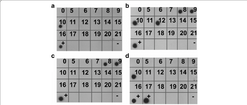 Detection Of T - Common Fig (850x361), Png Download